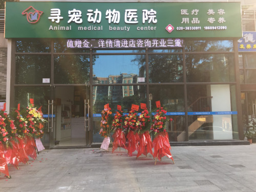 寻宠动物医院
