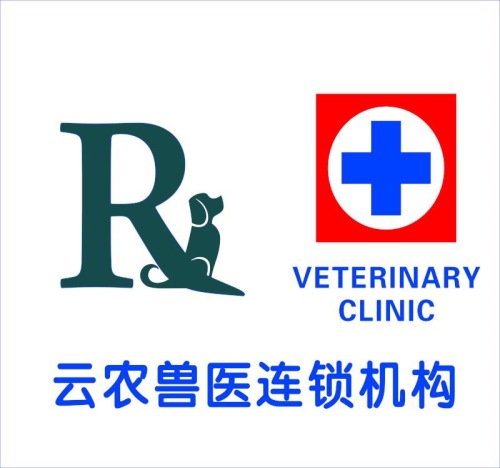 云农宠物博客宠物诊所