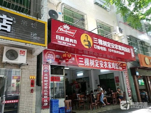 三棵树定安农家鸡饭店