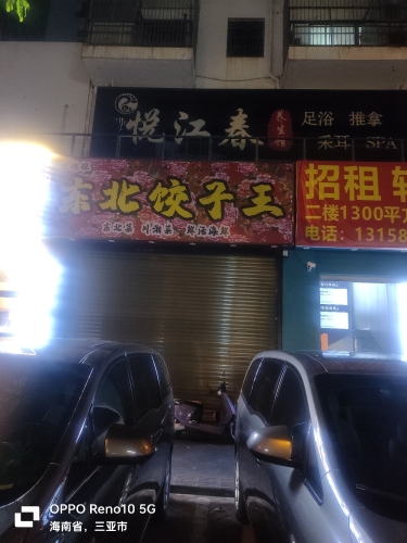 东北饺子王