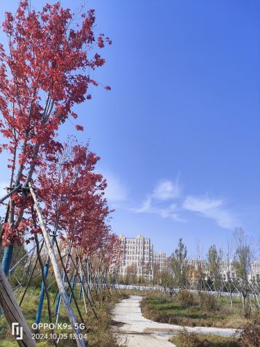 君兰体育公园