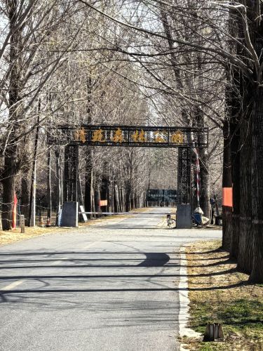 清苑森林公园