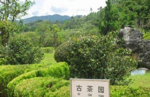 茶文化风情园