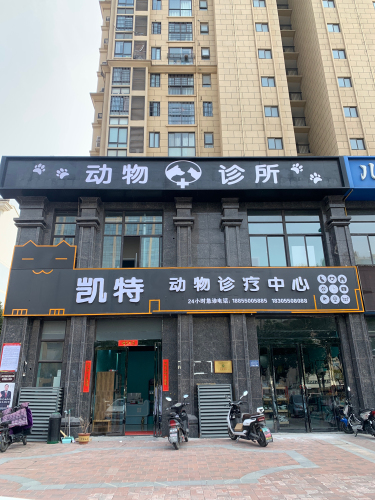 凯特动物诊所