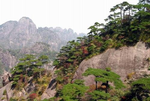 黄山-贡阳山