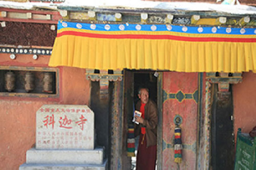 科迦寺