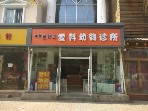 爱科动物诊所(青山区店)