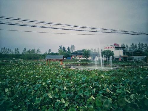 永海石语荷园