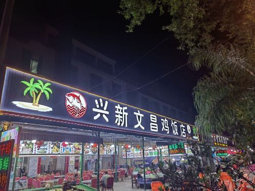 兴新文昌鸡饭店(兴隆华侨农场店)