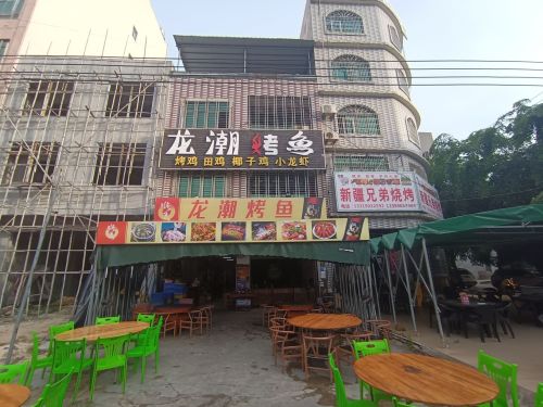 龙潮烤鱼(中九路店)