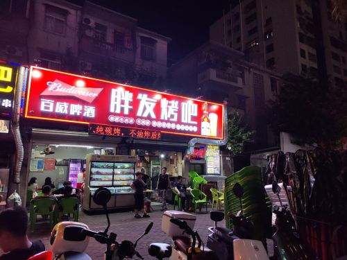 胖发烤吧(海甸城店)