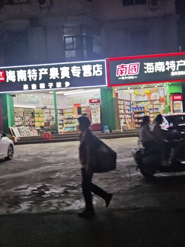 南国海南特产(鑫发直销点)