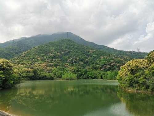 恩上湿地公园