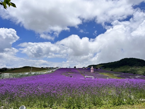 野鸡坪度假区