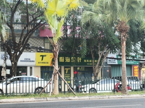 椰海金叶·海凤诚源酒业