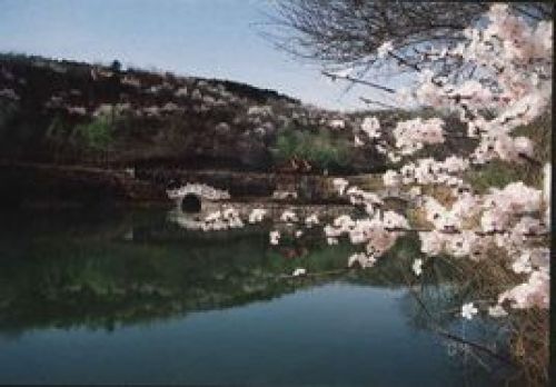 白清寨乡