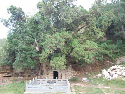 晓露泉