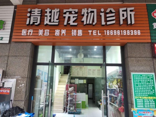 清越宠物诊所
