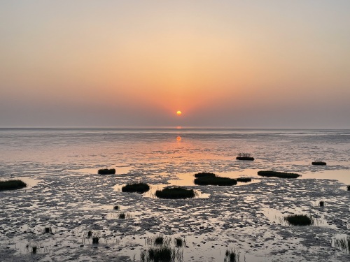 日出海湾