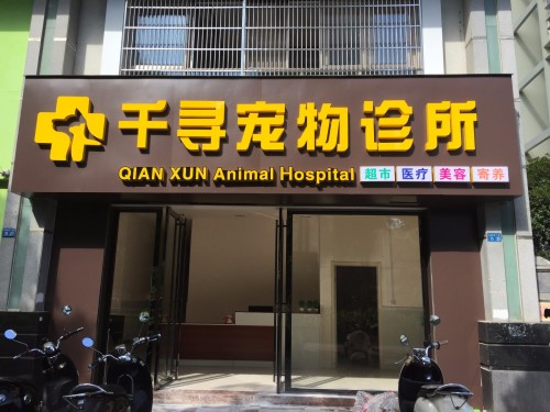 千寻宠物诊所(桂中店)