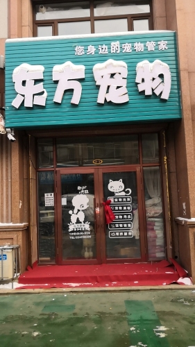 派特宠物医院