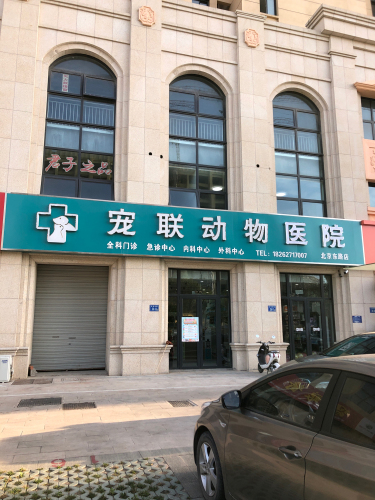 宠联动物医院