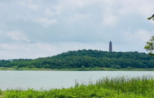 南京平山森林公园