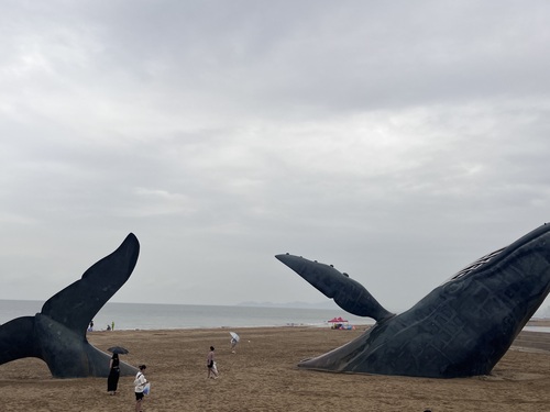 金沙滩旅游度假区