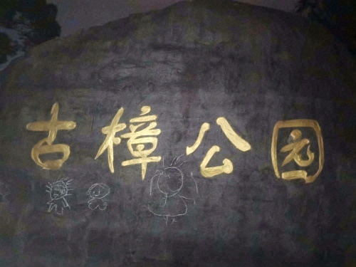 古樟公园