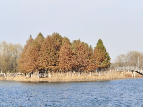 阳澄东湖湿地公园