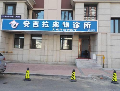 安吉拉宠物诊所