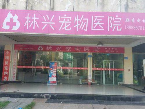 林兴宠物医院