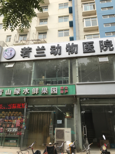 若兰动物医院(桥西店)