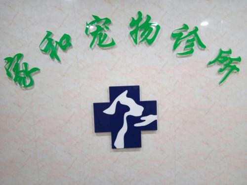 家和宠物诊所