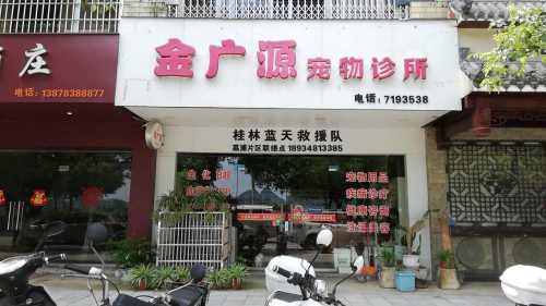 金广源宠物诊所