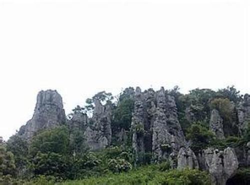 华蓥山森林公园