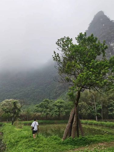 荷塘乡村旅游区