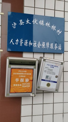 泸县太伏镇林桥村人力资源和社会保障服务站