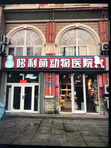 哆利萌动物医院(皇冠店)