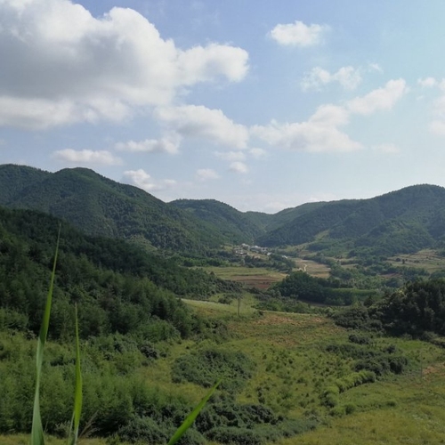 秀金山观音禅院