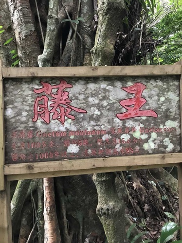 昌江黎族自治县七叉镇旅行攻略