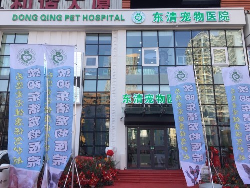 沈阳东清宠物医院(建大店)