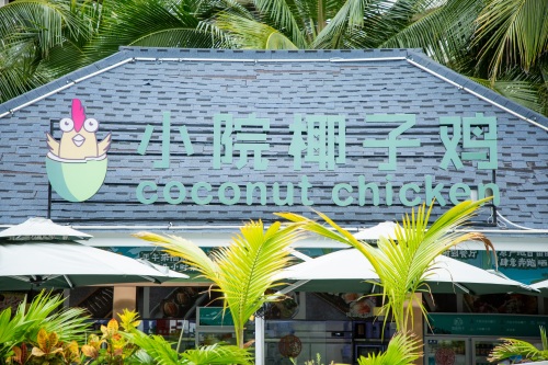 小院椰子鸡(海角院子美食汇店)