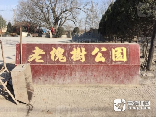 老槐树公园