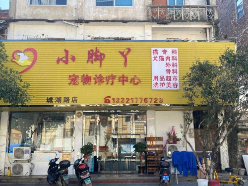 小脚丫宠物诊疗中心(城湖路店)