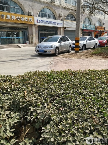 辛集市康骅动物医院