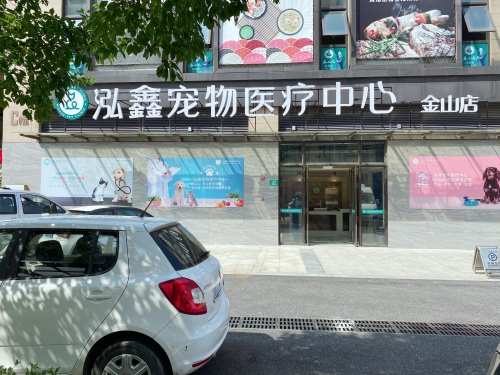 泓鑫宠物医疗中心