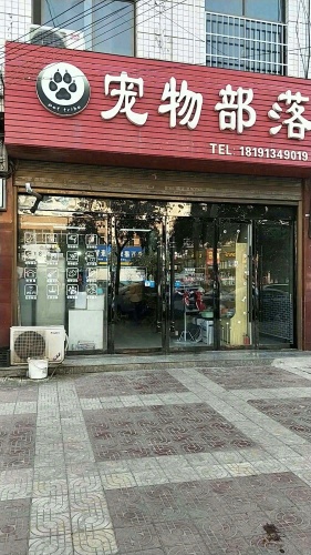 宠物部落