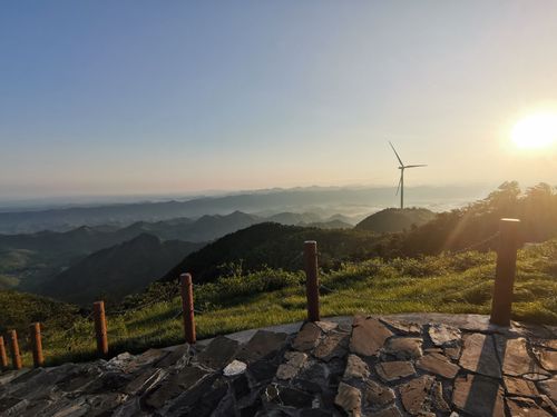 大幕山樱花