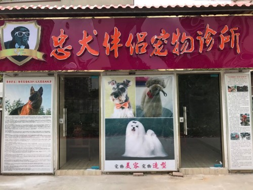忠犬伴侣宠物诊所